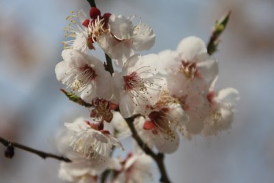 IMG_4843.JPG