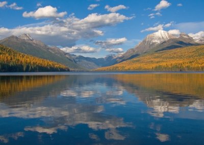 zP1020752 Bowman Lake in Glacier National Park.jpg