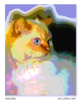 g3/32/591532/3/56330376.RudyBaby.jpg