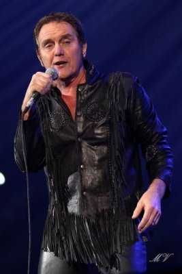 Alvin Stardust