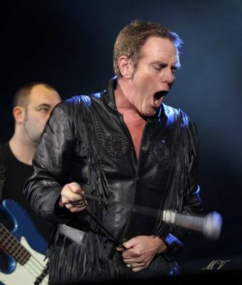 Alvin Stardust