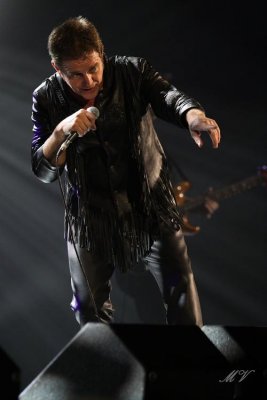 Alvin Stardust