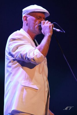 The Rubettes