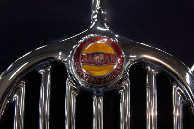 g3/32/617832/3/122786099.jGAggTyD.jpg