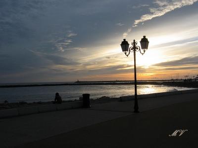 Camargue   France