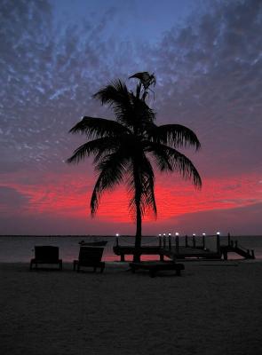 Bonaire IMG_3960.jpg
