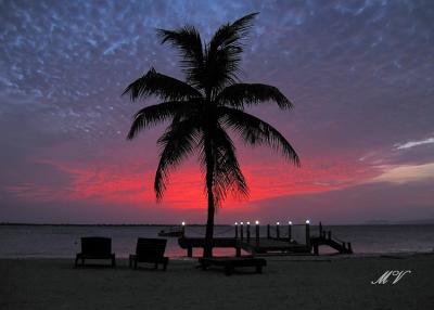 Bonaire IMG_3962.jpg