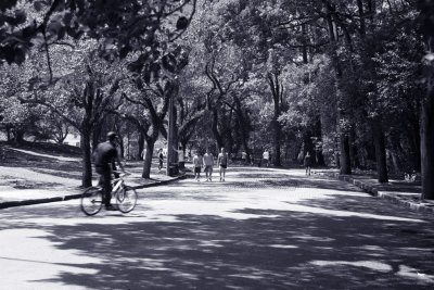 Ibirapuera Park