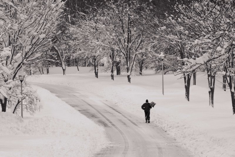 Shoveling out in suburban D.C. #1