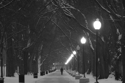 _MG_3748.jpg