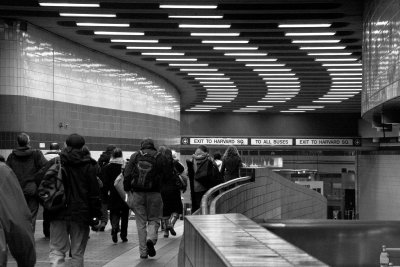 _MG_5030.jpg