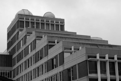 _MG_5049.jpg