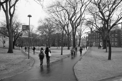 _MG_5052.jpg