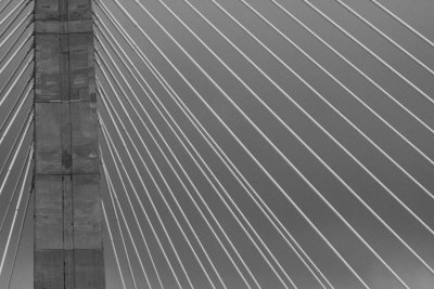_MG_5071.jpg