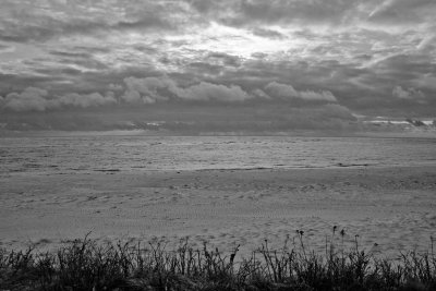 _MG_5078.jpg