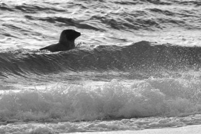 _MG_5101.jpg