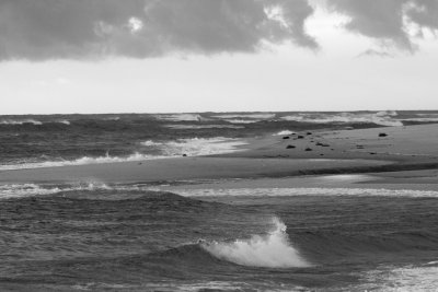 _MG_5109.jpg