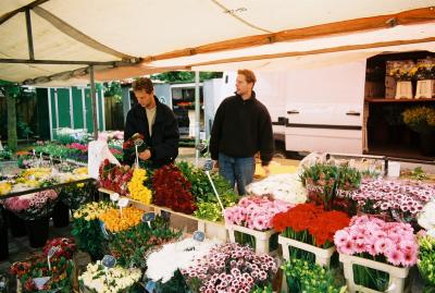 Market in Voorthuizen#5
