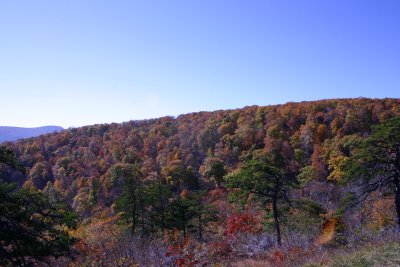 IMG_1019.JPG