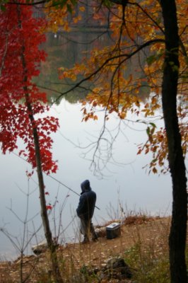Hanging on to Fall