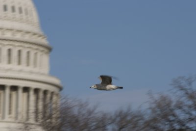 CRW_5743.jpg