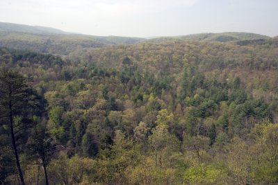 Green Ridge State Forest