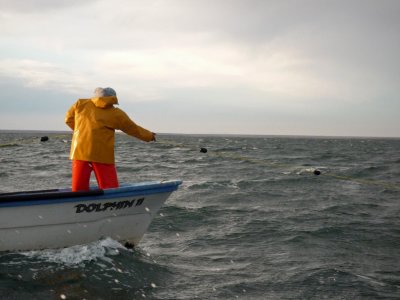 Straightening out the net