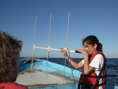 Clara using the radio tracking antenna