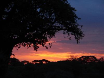 Beautiful start to the morning game drive