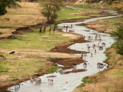 What a view we had from our bush breakfast perch!