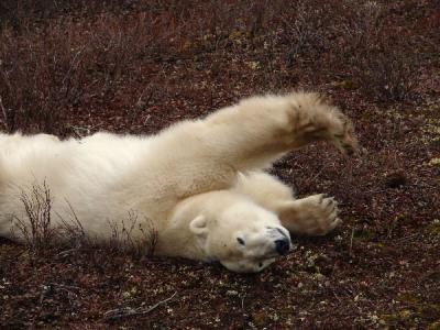 Stretch