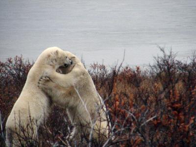 Two to tango
