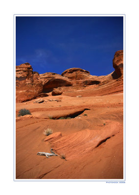 Near Delicate Arch