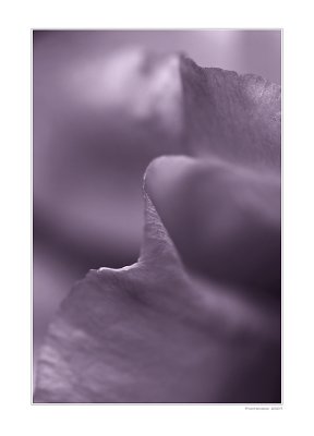 g3/32/657232/3/90500877.0JG37RZY.jpg