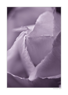 g3/32/657232/3/90500879.VB7ISpkP.jpg