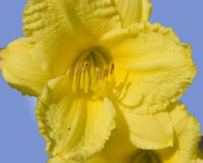 IMG_0430crop.jpg