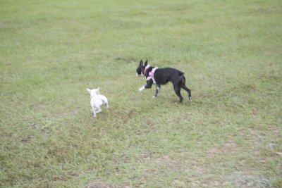 CPC_Biloxi_Mission_OCT_2007-220.jpg