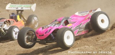 30 buggy and truggy ( rose bodyshell )