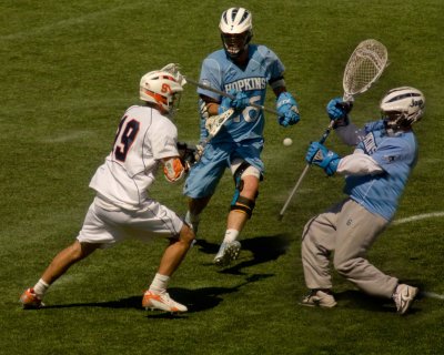 IMG_2565.JPG