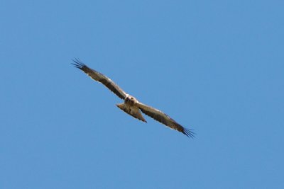 g3/32/780432/3/124077238.kdJrCf7R.jpg