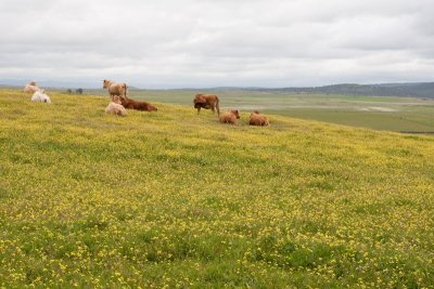 Extremadura surroundings 9D7E7537.jpg