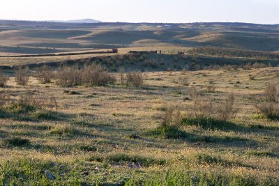 Extremadura surroundings 9D7E7551.jpg