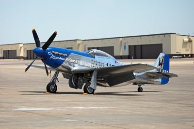 P-51D  Mustang, Moonbeam McSwine