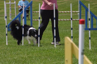 IMG_4164.jpg