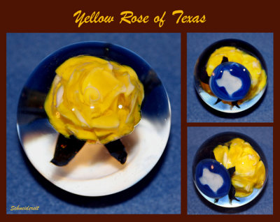 Yellow Rose of Texas 3 views