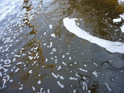 g3/32/845132/3/122893374.O1rou8tc.jpg