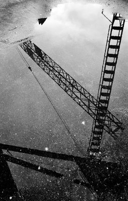 Crane reflected