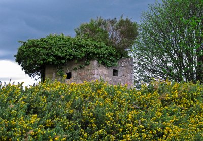 Undercover - Pill Box, west of Aboyne