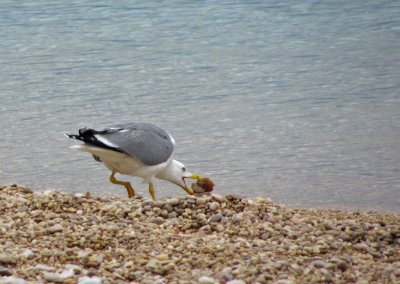 IMG_1825.JPG