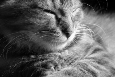 Douce Quitude...